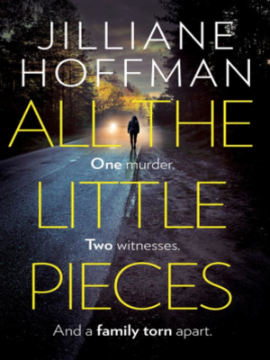 cover image of All the Little Pieces